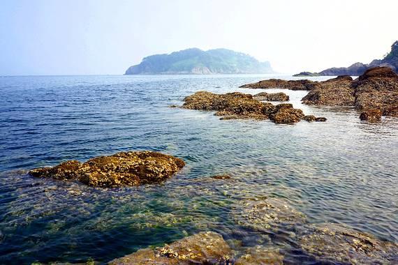 荒野行动